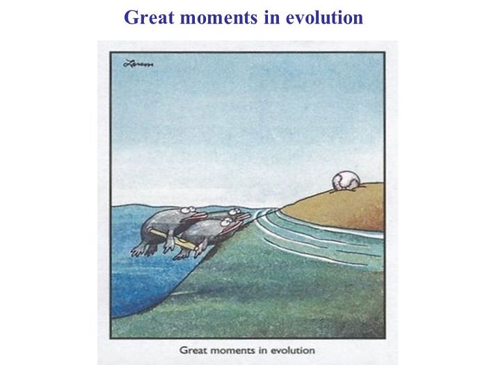 Great Moments In Evolution