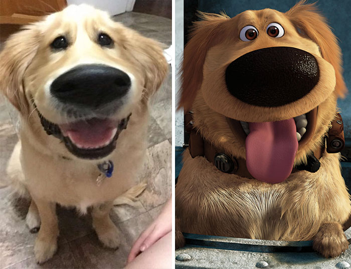This Snapchat Filter Makes Your Dog Look Like Dug From “Up”