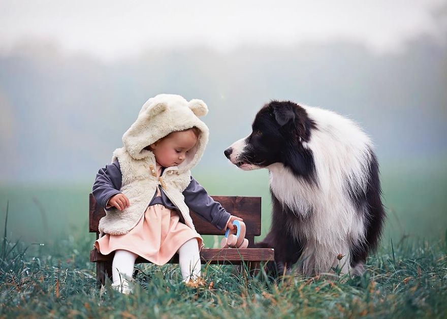 Stunning Photos Of Dog With Kids :)