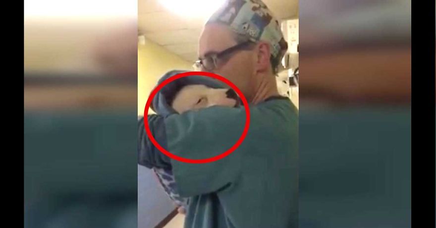 Surgery Vet Comforts Dog After Operation By Rocking Her Like A Baby Surgery Vet Comforts Dog After Operation By Rocking Her Like A Baby