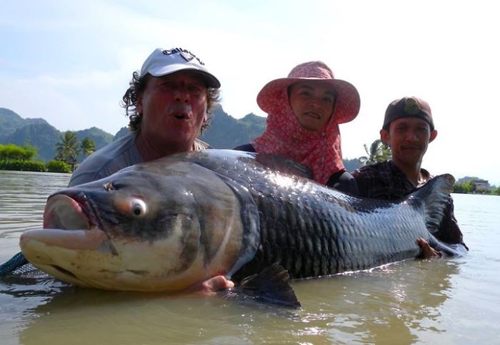 This Secret Lake In Thailand Has Got Worlds Biggest Fish In It This Secret Lake In Thailand Has Got Worlds Biggest Fish In It