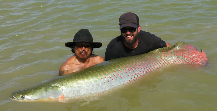 This Secret Lake In Thailand Has Got Worlds Biggest Fish In It This Secret Lake In Thailand Has Got Worlds Biggest Fish In It