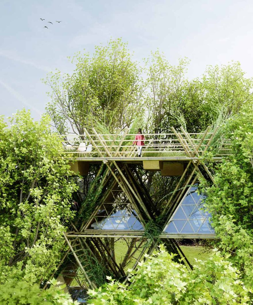 This Unique Hotel Concept Lets You Sleep ‘With The Birds’