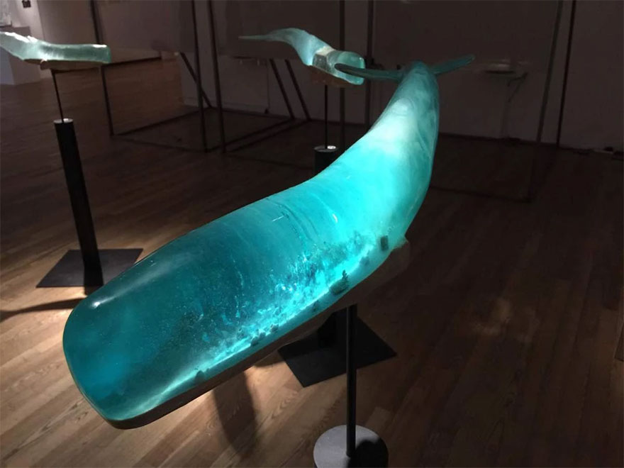 translucent-whale-sculptures-samsara-isana-yamada-9