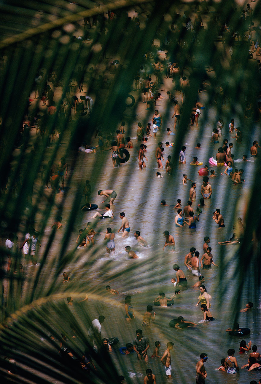 Dozens Of Visitors Frolic In The Water As Seen Through A Palm Frond In Acapulco, Mexico, 1964