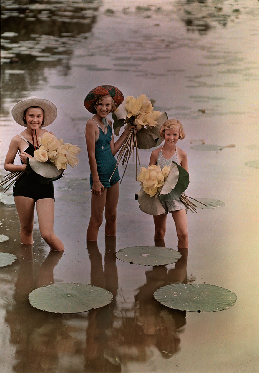 Girls Standing In Water Holding Bunches Of American Lotus, Amana, Iowa, November 1938