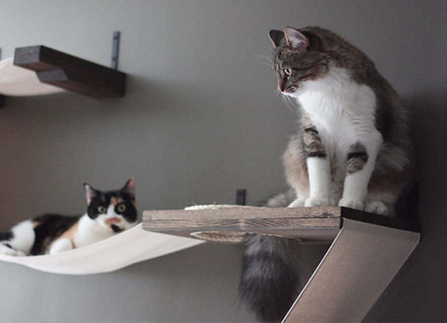 12 Of The Coolest New Trends In Cat Furniture