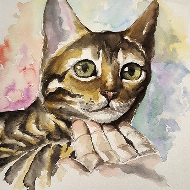 15 Painting Photo Portraits Of Bengal Cat Simba Sent For Free