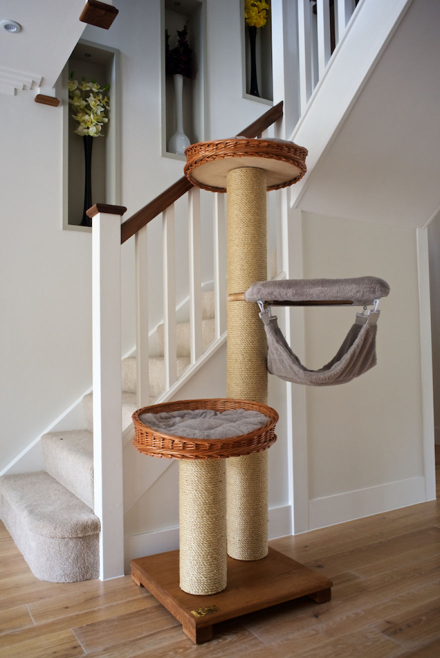 14 Examples Of How To Combine Cat Furniture In Modern Interiors