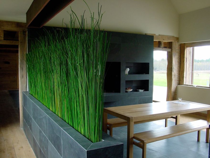 Indoor Grass Garden