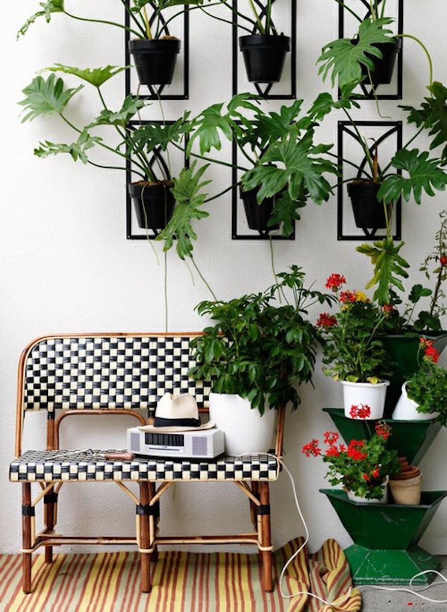 Wall Mount Potted Plants