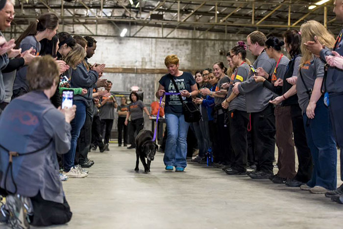 524 Dogs & Cats Attended A Massive Adoption Event – And They ALL Found Homes!