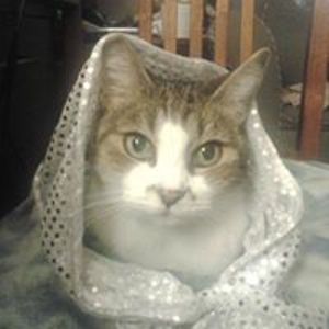 anjanette_leonard avatar