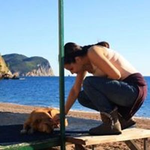 sandranovak79 avatar