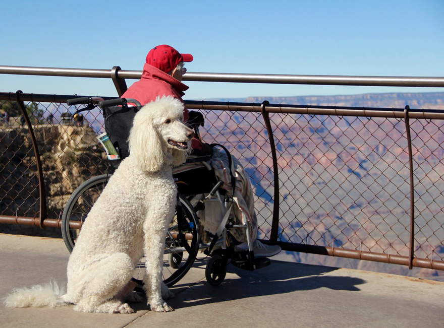 90-year-old-woman-cancer-road-trip-dog-miss-norma-15
