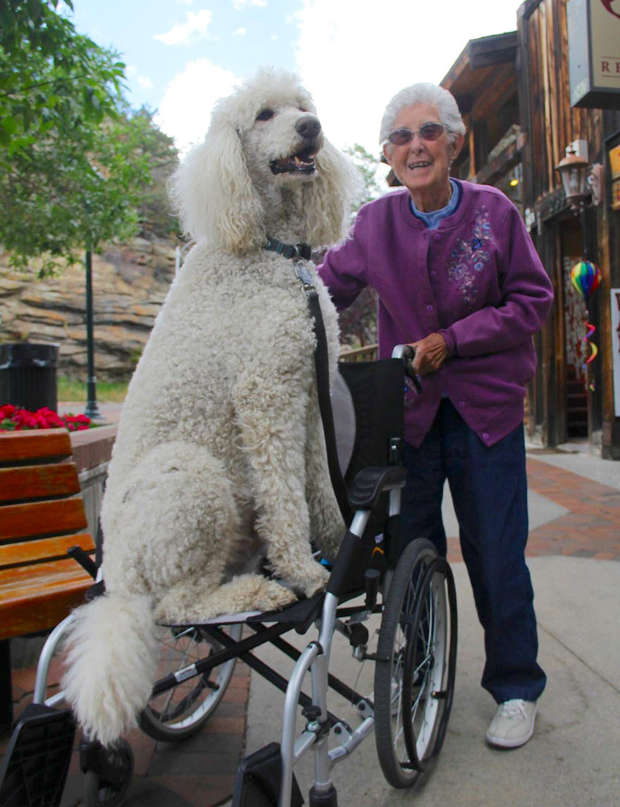90-year-old-woman-cancer-road-trip-dog-miss-norma-23
