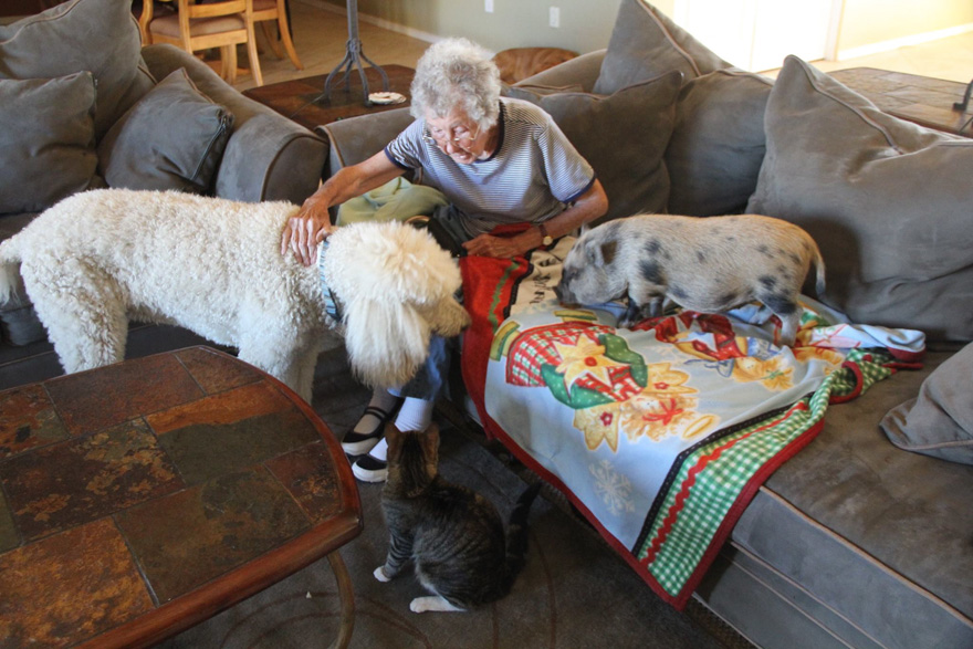 90-year-old-woman-cancer-road-trip-dog-miss-norma-7