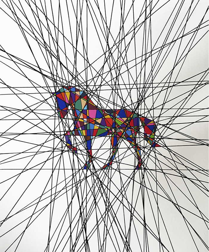 Beauty Within Chaos: I Draw Animals Where Lines Intersect