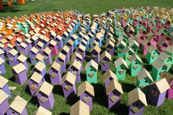 I Made 3500 Birdhouses From Scrapwood To Keep Birds In Cities