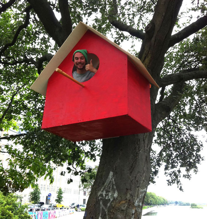 I Made 3500 Birdhouses From Scrapwood To Keep Birds In Cities