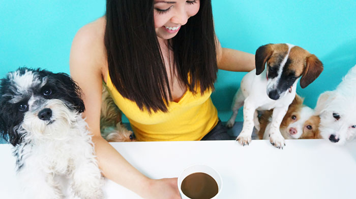 First Dog Cafe In U.S. Lets You Adopt A Dog While Enjoying Your Coffee