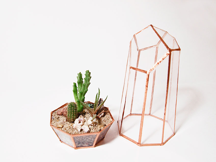 We Made An Awesome Geometric Crystal Terrarium Out Of Reused CD Cases