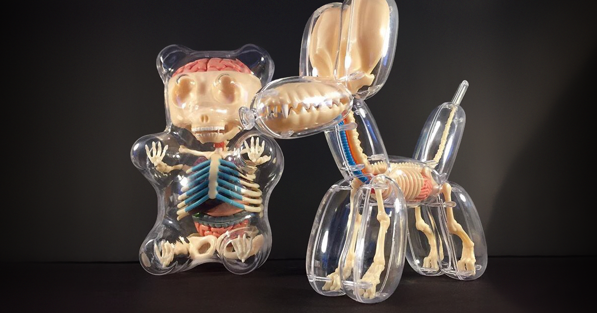 Anatomical Animal Balloons By Jason Freeny | Bored Panda