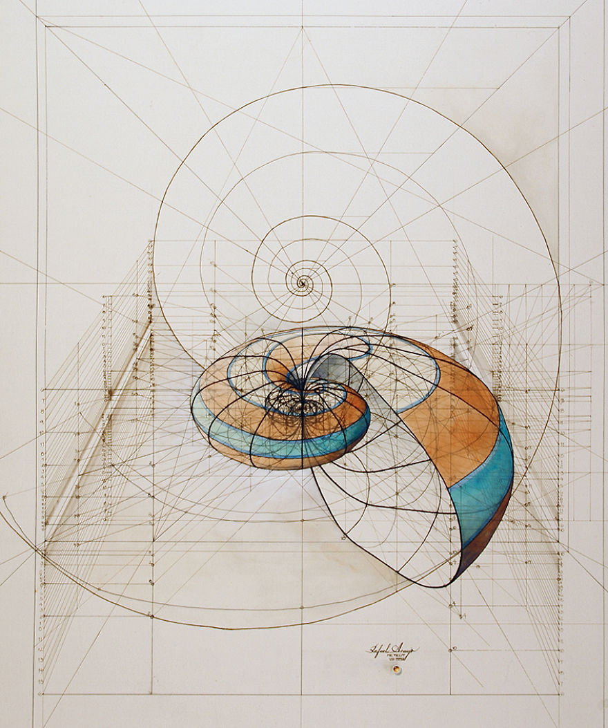 Hand-Drawn Coloring Book Reveals Mathematical Beauty Of Nature’s Designs With Golden Ratio Illustrations