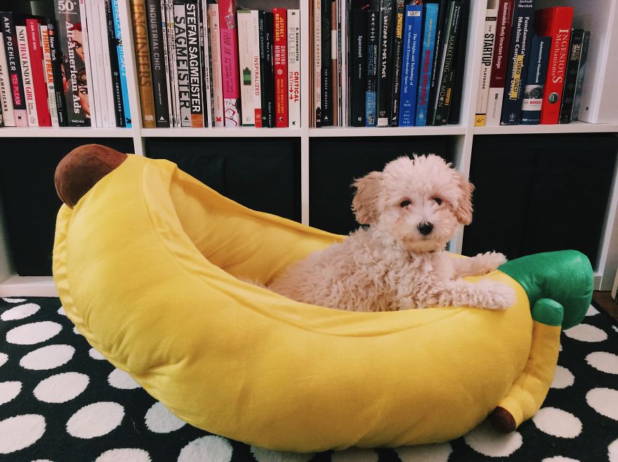 Banana Bed.