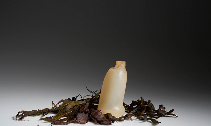 biodegradable-algae-water-bottle-ari-jonsson-3