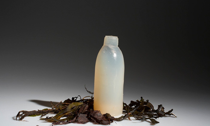 biodegradable-algae-water-bottle-ari-jonsson-4