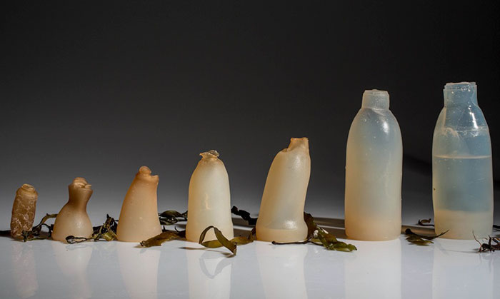 Man Invents Biodegradable Algae Water Bottles As A Green Alternative To Plastic