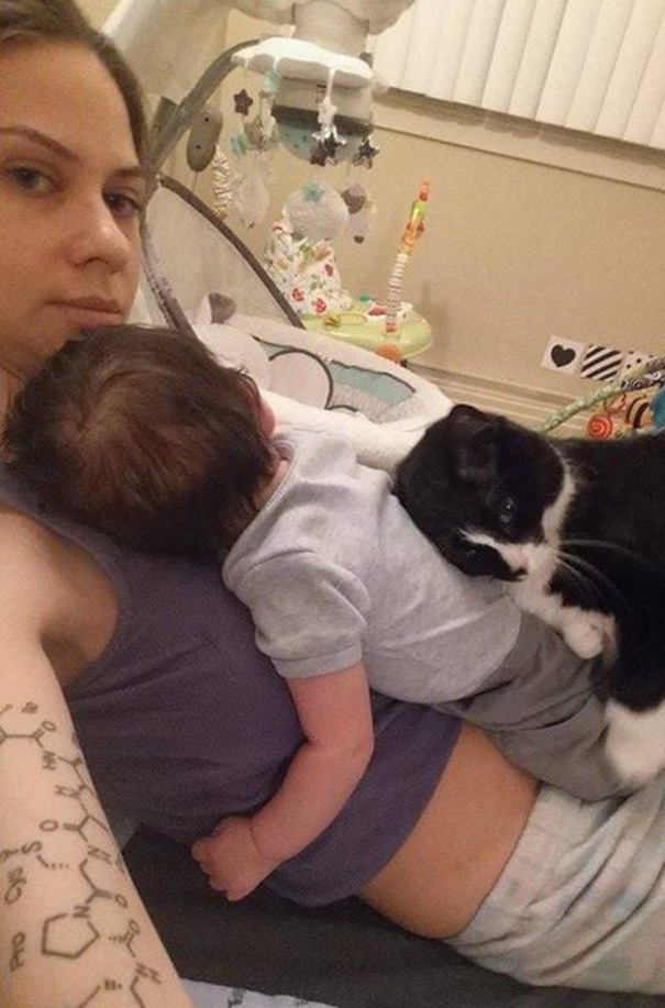 This Cat Has Been Guarding Her Little Human Since Before He Was Born