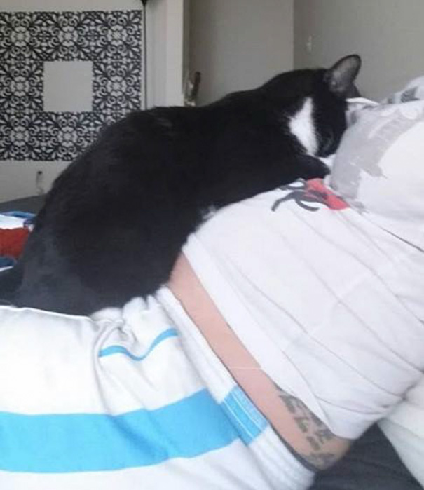 This Cat Has Been Guarding Her Little Human Since Before He Was Born