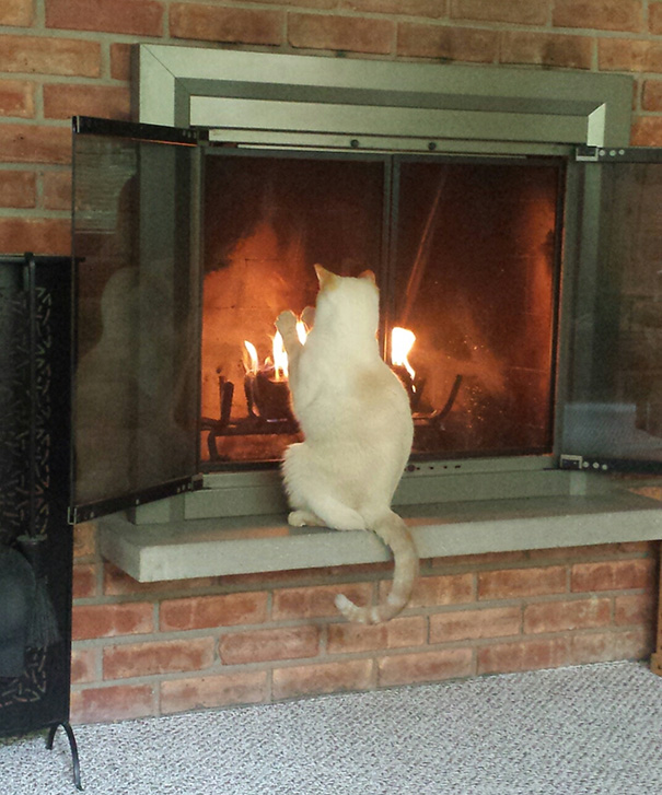 He Loves The Warmth