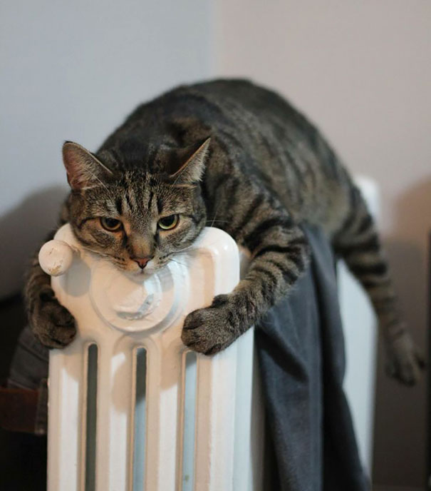 This Is My Heater. There Are Many Like It, But This One Is Mine
