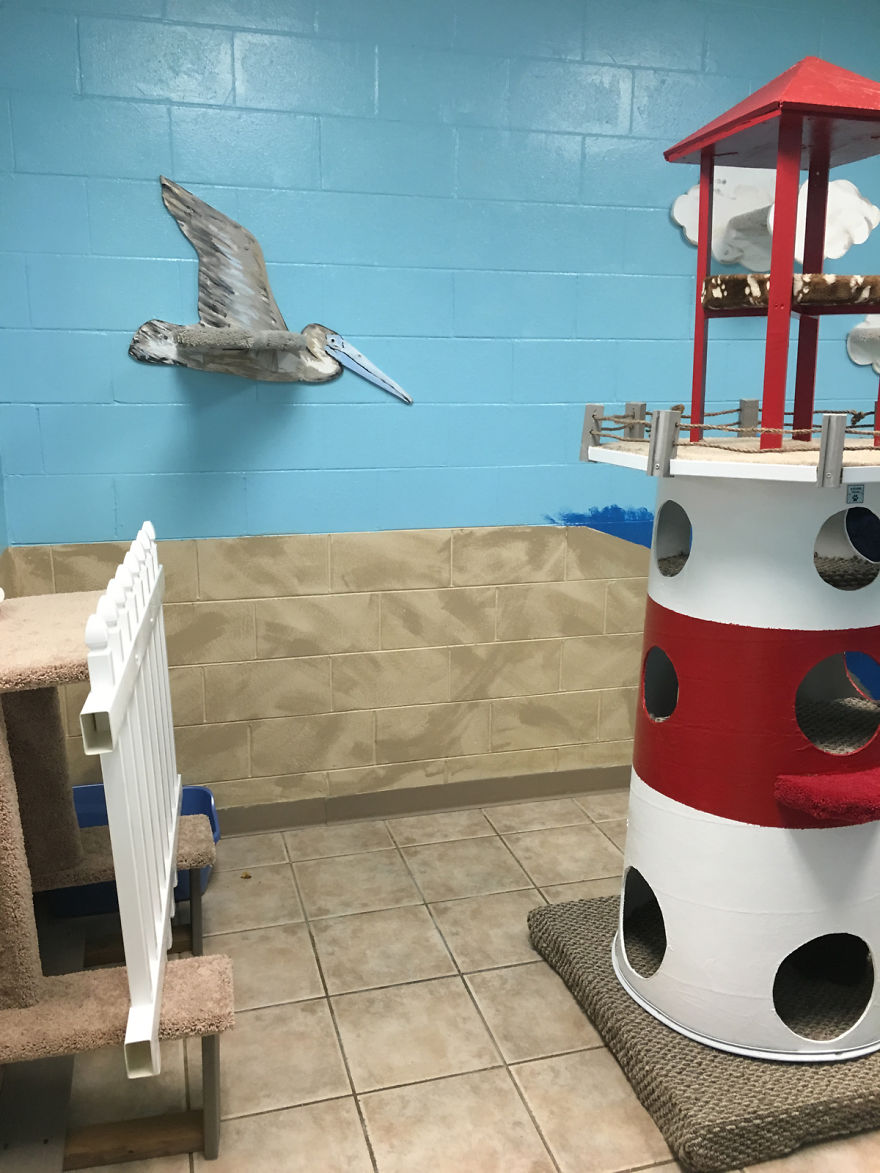 I Created A Harbour-Themed Cat Room For Shelter Cats To Brighten Their Days