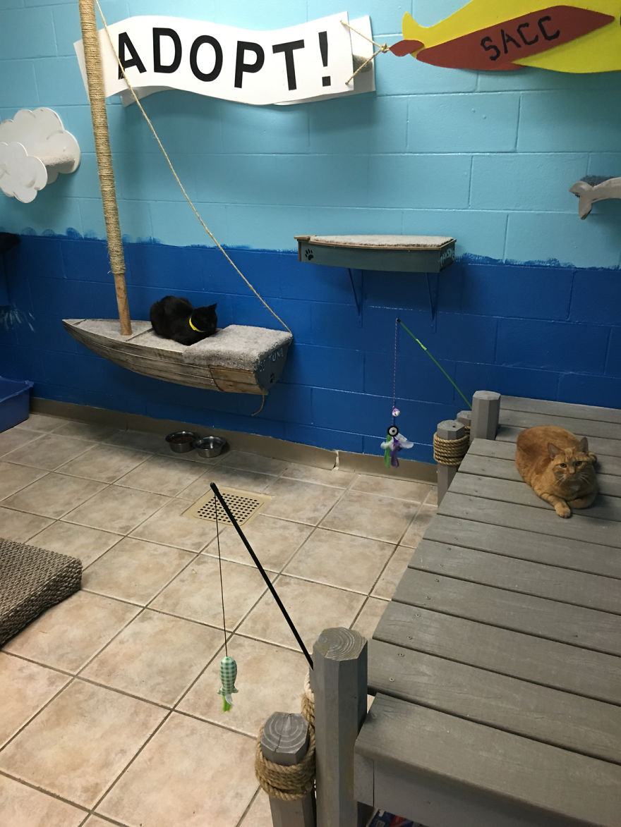 I Created A Harbour-Themed Cat Room For Shelter Cats To Brighten Their Days