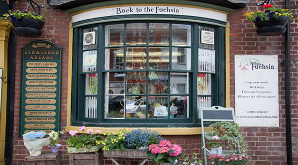 Shop sign ‘Back to the Fuchsia’