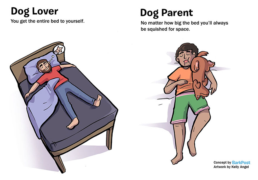 Dog Lover Vs Dog Parent