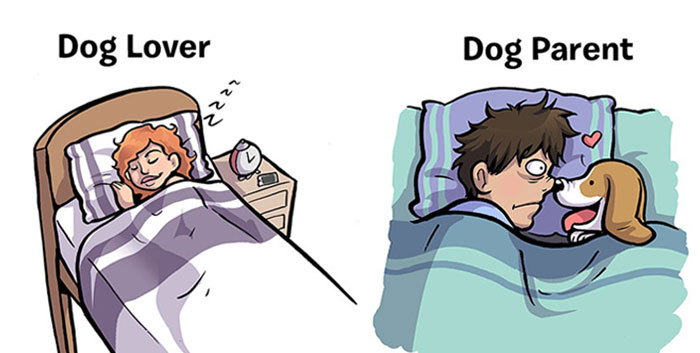 7 Differences Between Dog Lovers And Dog Parents