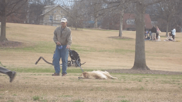 Clever Dog Plays Dead To Stay At The Park Longer
