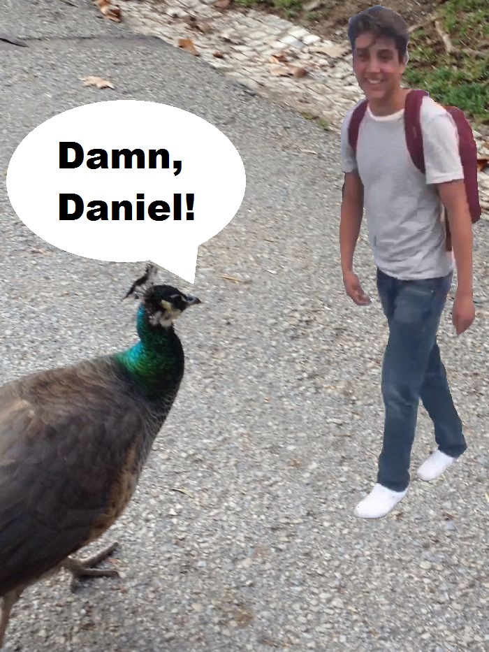 Damn, Daniel!