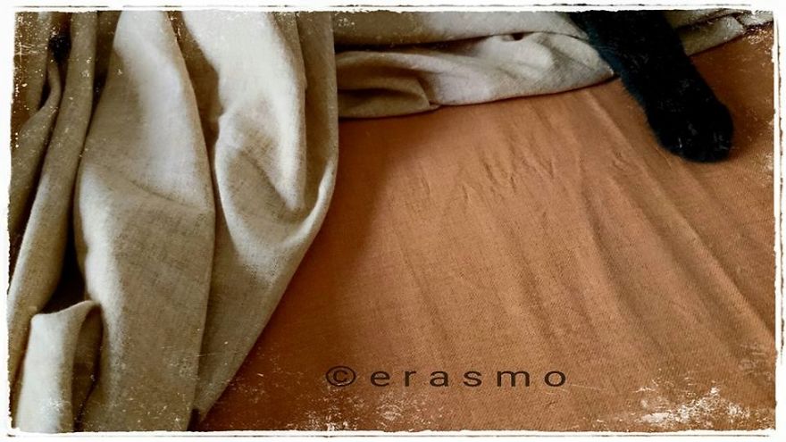 Erasmo Erasmo