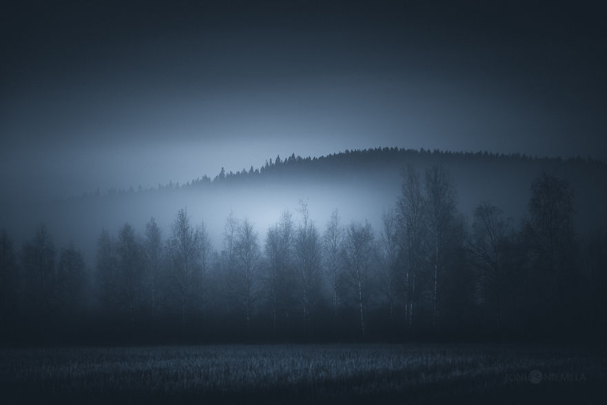 Ethereal Silence: I Photographed Finnish Forests And Trees