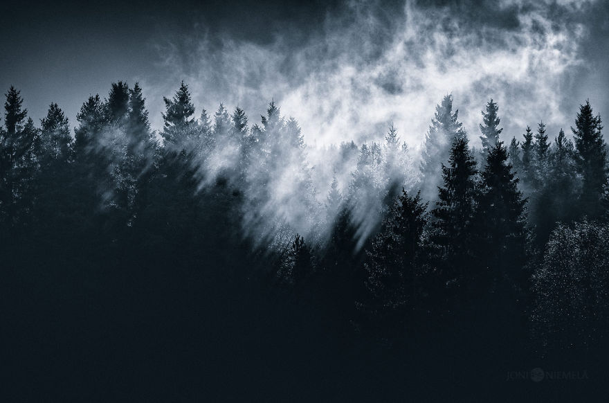 Ethereal Silence: I Photographed Finnish Forests And Trees