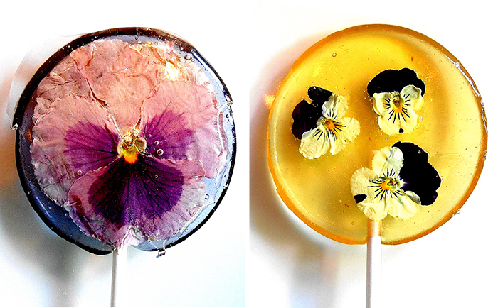 Edible Flower Petals Preserved Inside Lollipops