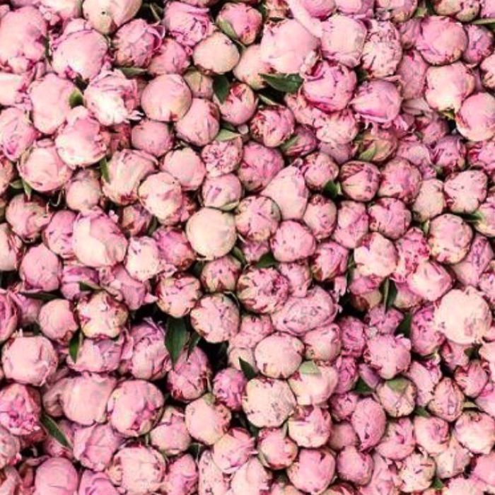 Flowers!