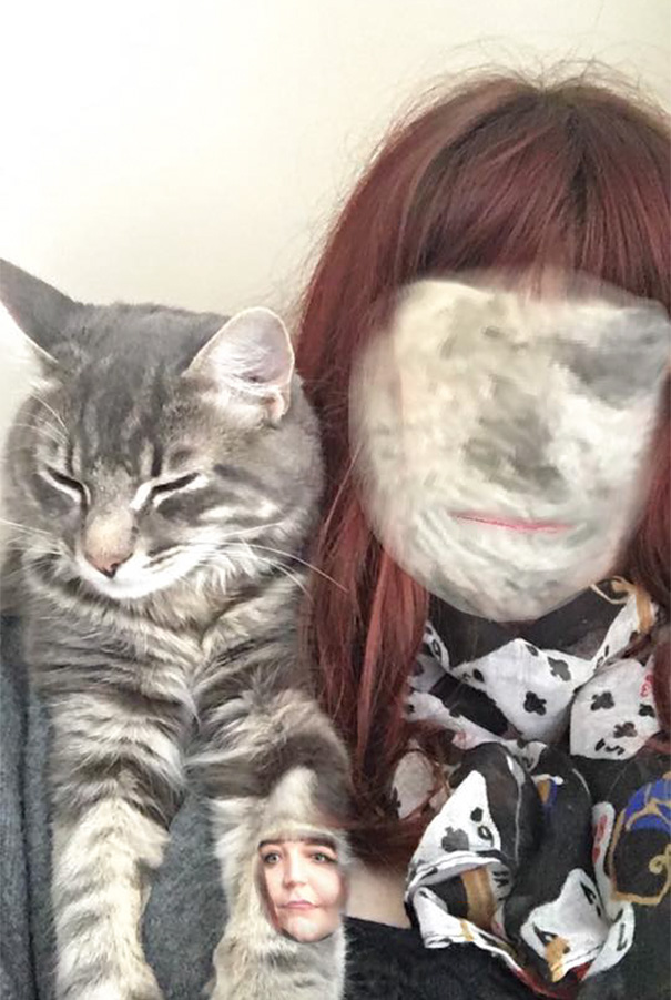 Spent Ages Trying To Face Swap With My Cat, This Was The Result
