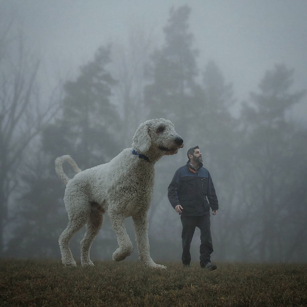 giant-dog-photoshop-adventures-juji-christopher-cline-201